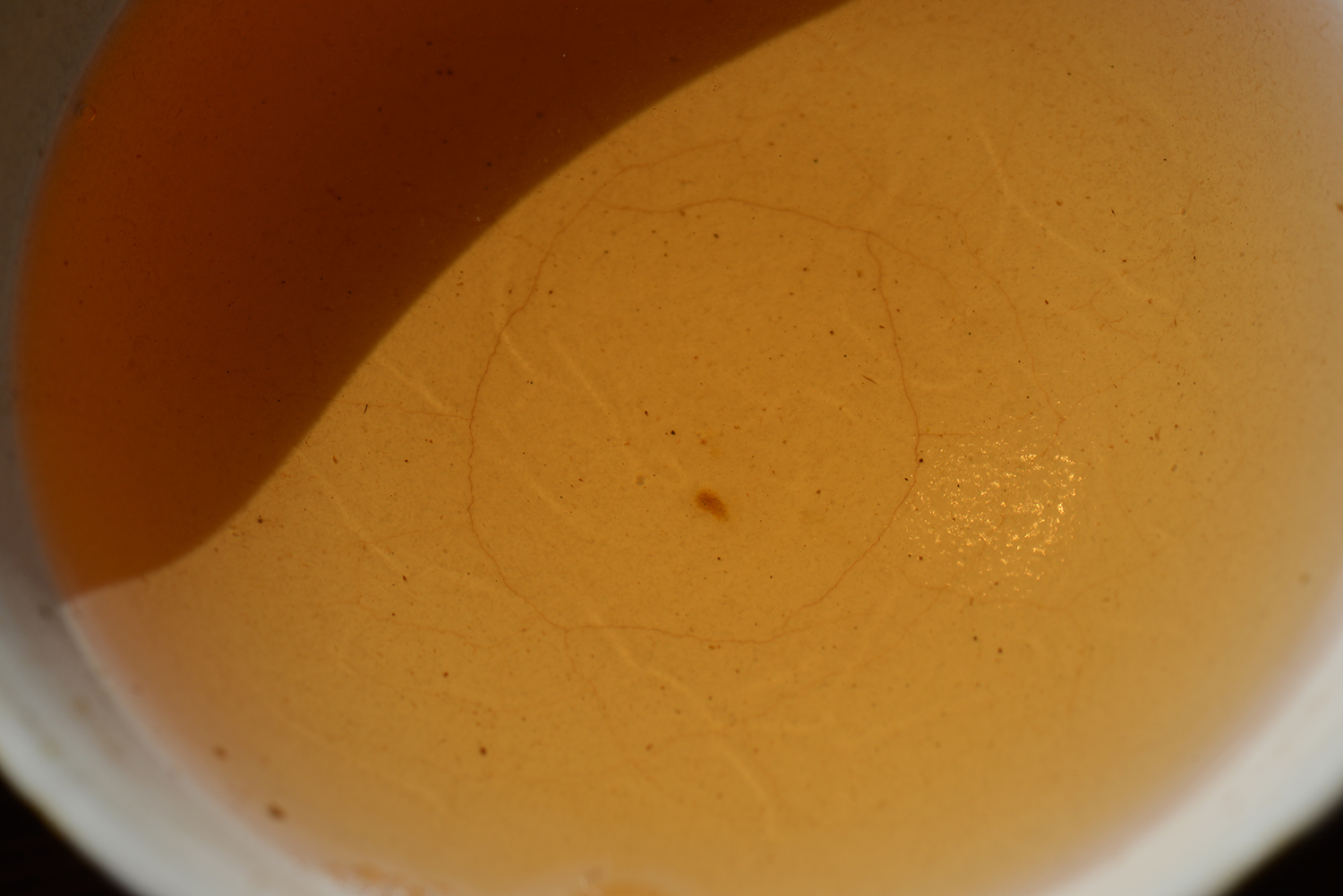 Cang Tai Hao Menghai Qiao Bing cha sheng puerh tea
